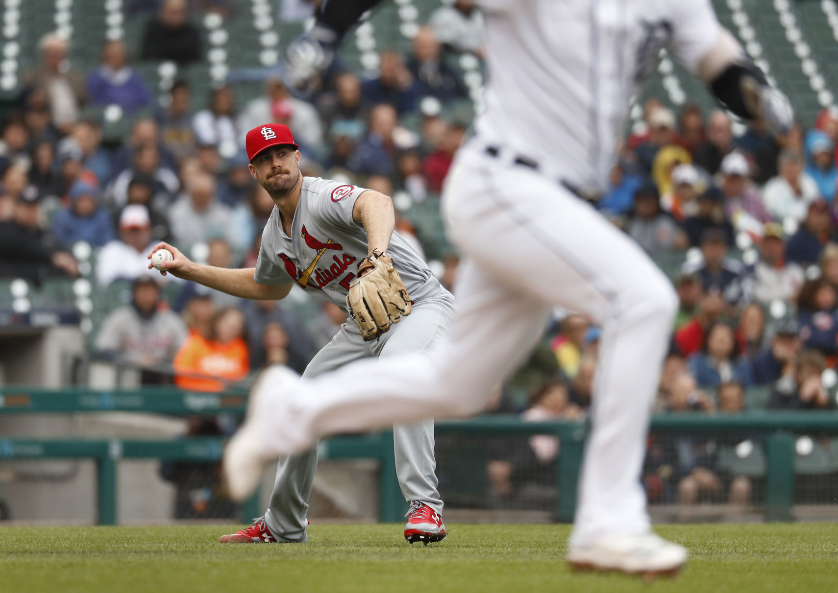 Cardinals Tigers Baseball